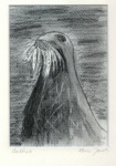 Seelöwe