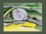 Schnecke