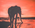 Elefant in der Abenddämmerung