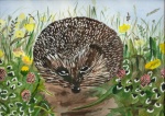 Igel im Klee