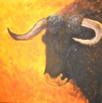Stier
