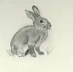 Osterhase