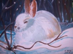 Schneehase I
