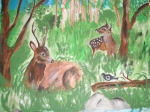 Rehe