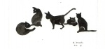 schwarze Katzen.jpg